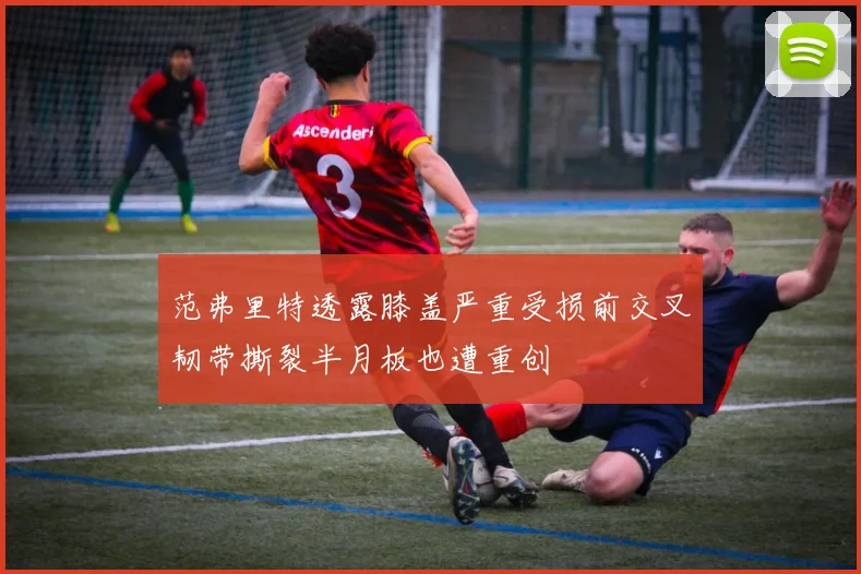 范弗里特透露膝盖严重受损前交叉韧带撕裂半月板也遭重创