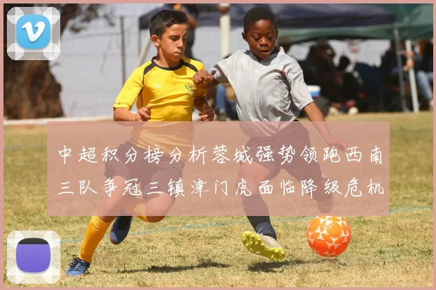 中超积分榜分析蓉城强势领跑西南三队争冠三镇津门虎面临降级危机