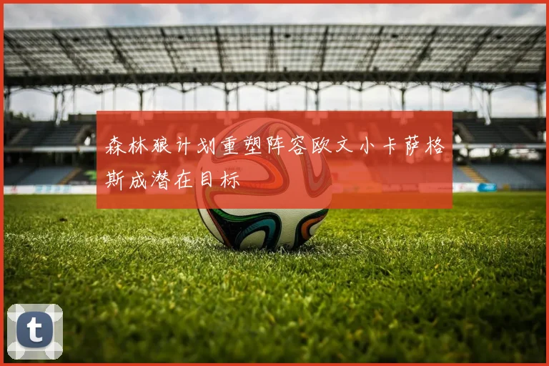 森林狼计划重塑阵容欧文小卡萨格斯成潜在目标
